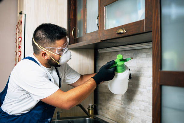 Reliable Leisure World, MD Pest Control Solutions