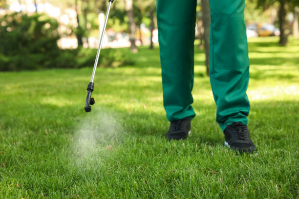 Best Spider Control Near Me  in Leisure World, MD