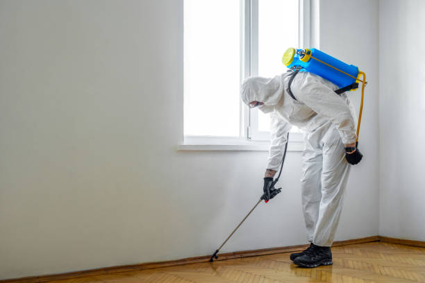 Best Insect Control  in Leisure World, MD