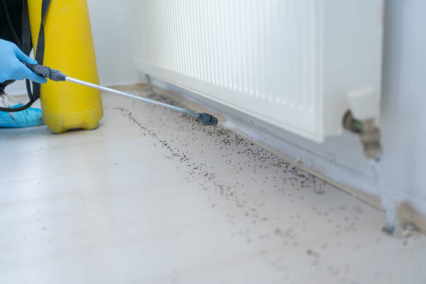 Best Pest Prevention Services  in Leisure World, MD