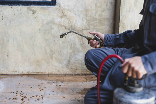 Best Best Pest Control Companies  in Leisure World, MD