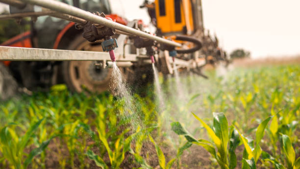Best Mosquito Control Services  in Leisure World, MD
